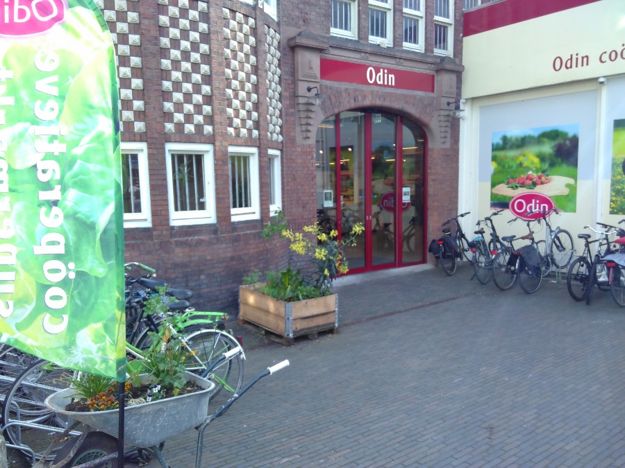 Odin Arnhem Odin Arnhem