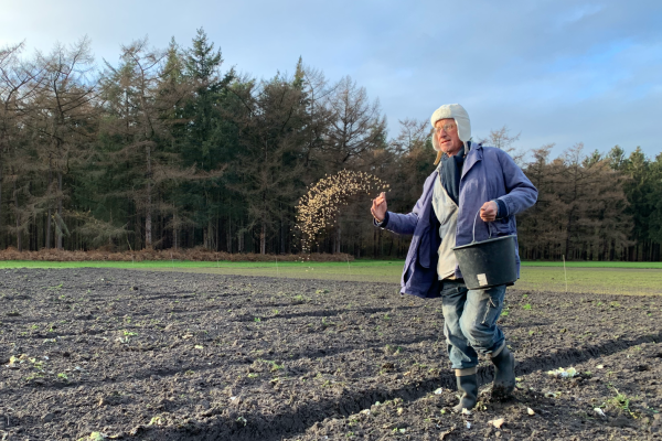 Waarom gebruiken boeren groenbemesters?