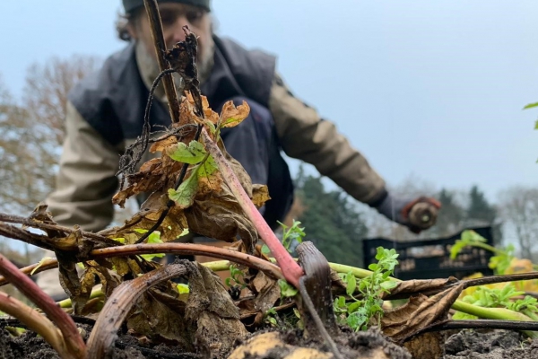 Fijn dat biodynamisch kijkt naar mens, dier en milieu