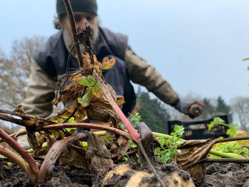 Fijn dat biodynamisch kijkt naar mens, dier en milieu