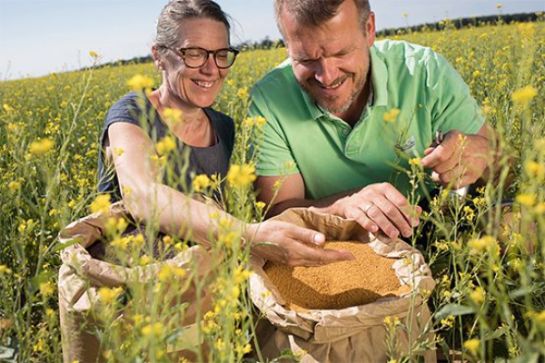 Biologische spreads van Zwergenwiese 