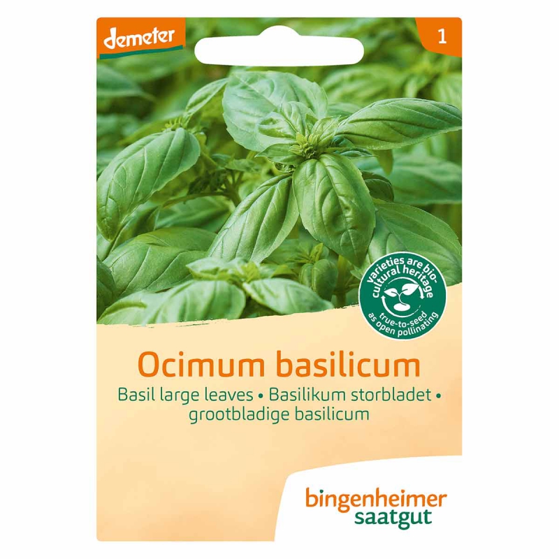 Basilicum grootbladig