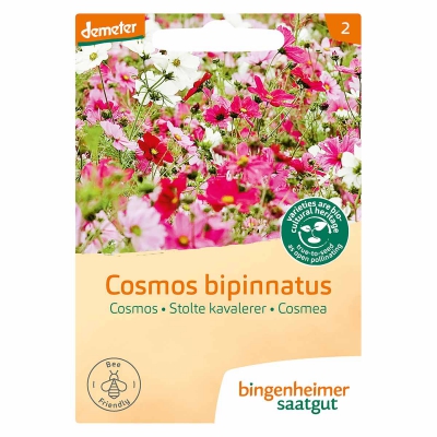 Cosmea bipinnatus BINGENHEIMER SAATGUT
