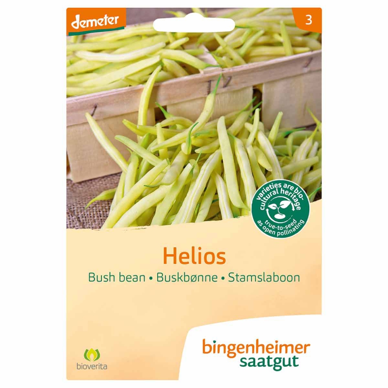 Stamslaboon helios yellow