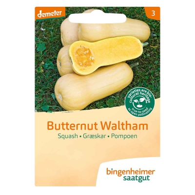 Pompoen butternut waltham BINGENHEIMER SAATGUT