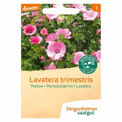 Lavatera trimestris BINGENHEIMER SAATGUT
