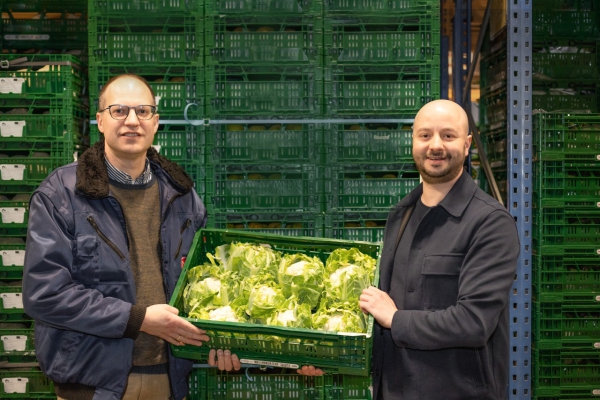 Bloemkoolprijzen Odin blijven binnen de perken