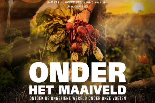 Onder het Maaiveld 