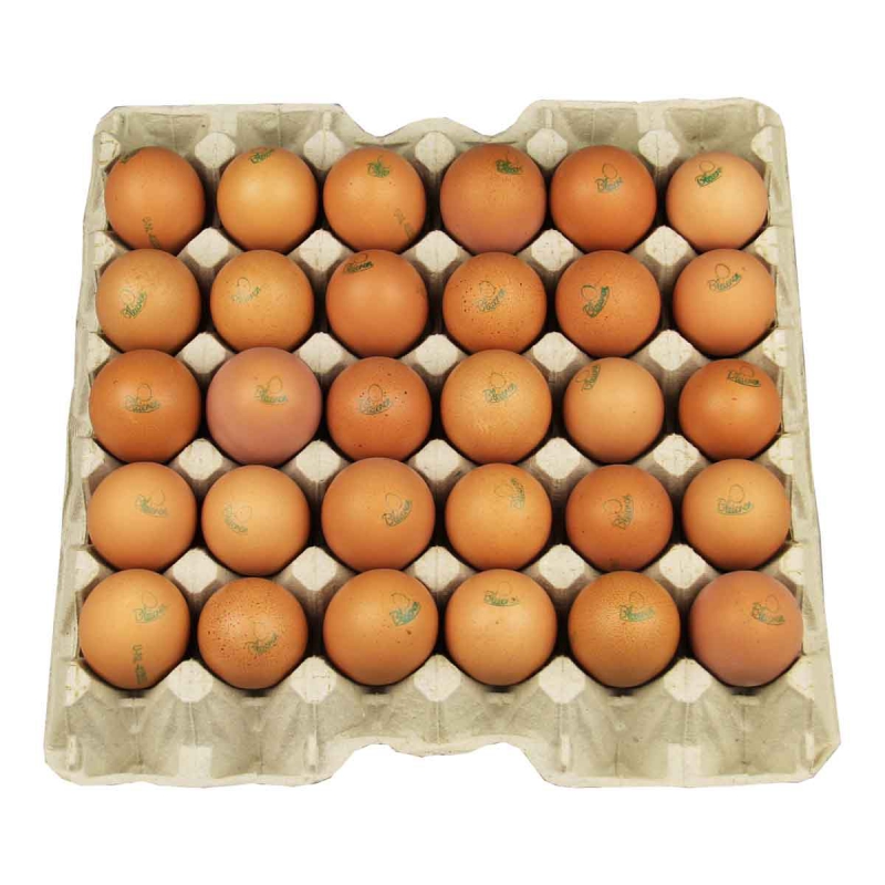 Eieren 30 stuks geseald op tray