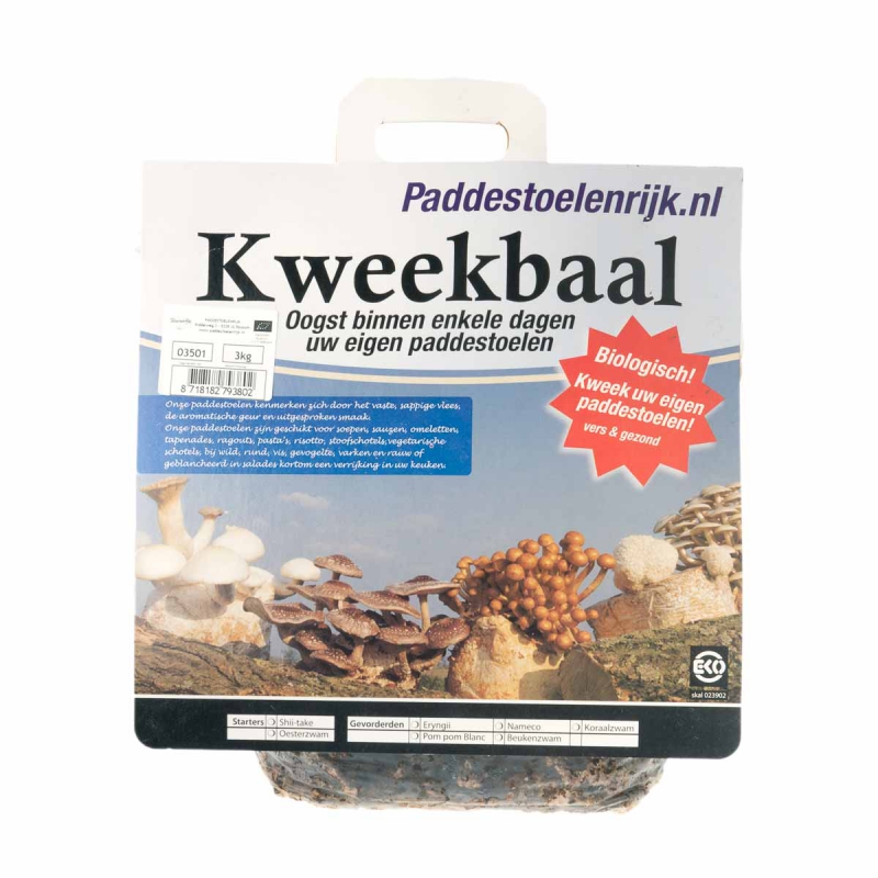 Paddenstoelen kweekset