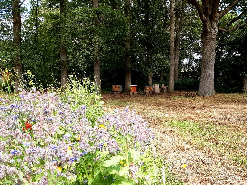 Odin imkerij plaatst bijenvolken op Landgoed Luchtenburg