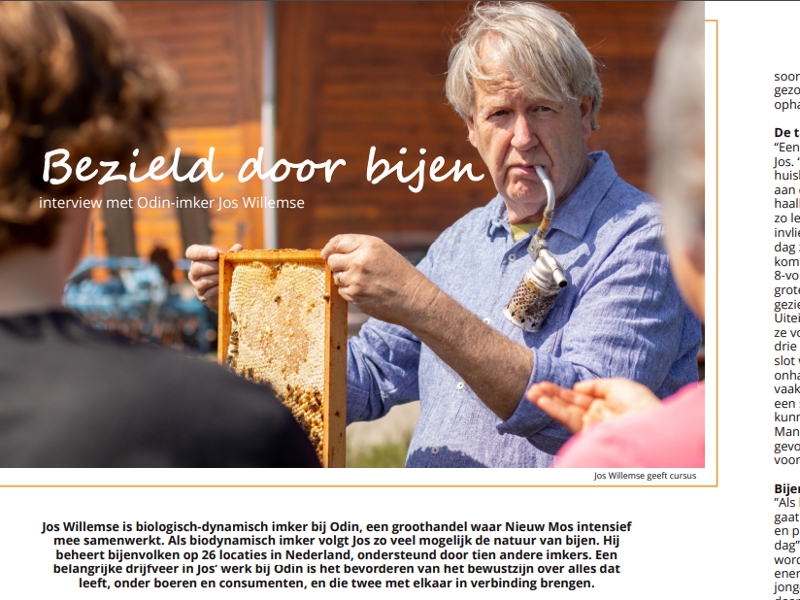 Bezield door bijen - Interview Odin imker Jos Willemse in Nieuw Mos