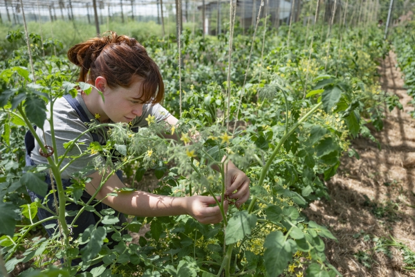 Boeren van de toekomst: Nadia Tofani