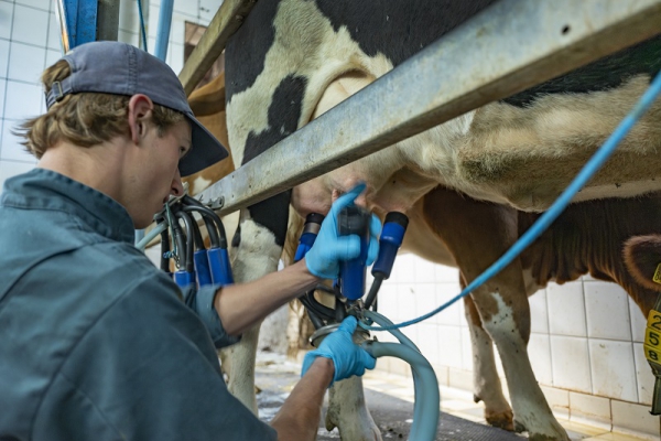 Boeren van de toekomst: Joram van Kaam