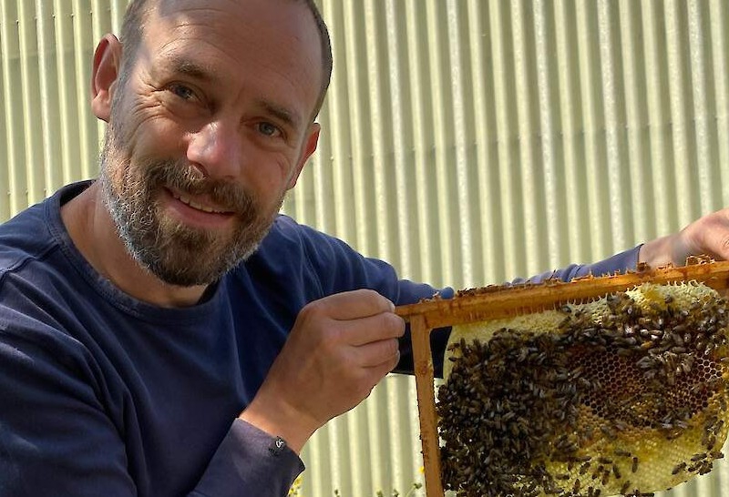 Biodynamische Odin imkerij lanceert onderzoek naar de effecten van straling op bijen 