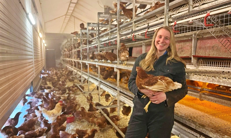 Eieren Odin voortaan geleverd door bioboerderij 'Paradijs