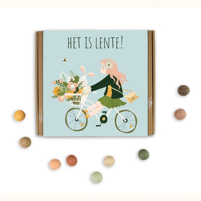 Giftbox het is lente m BLOSSOMBS