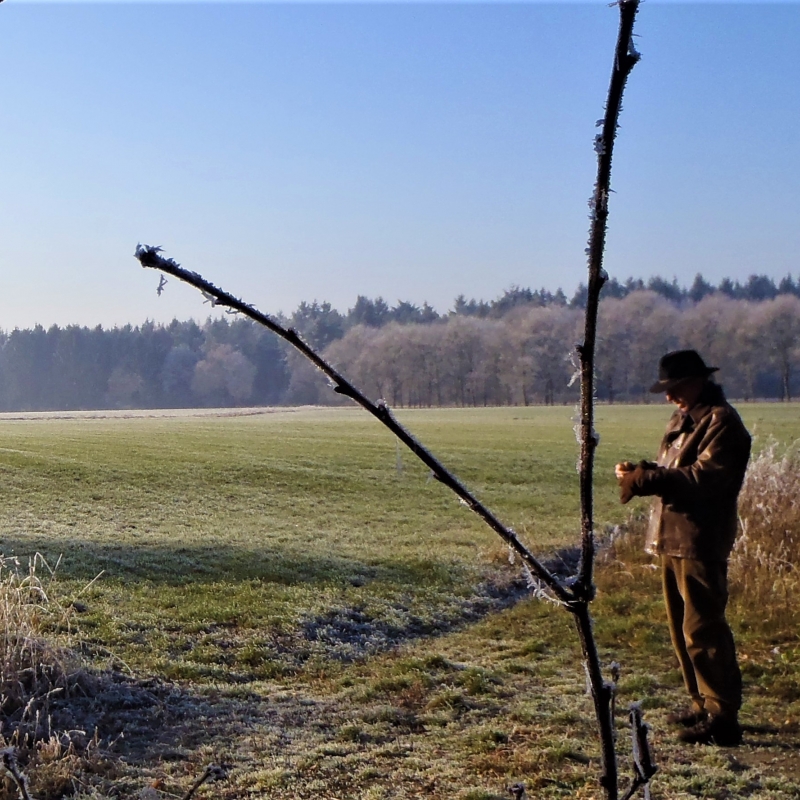 Verhalen van De Beersche Hoeve