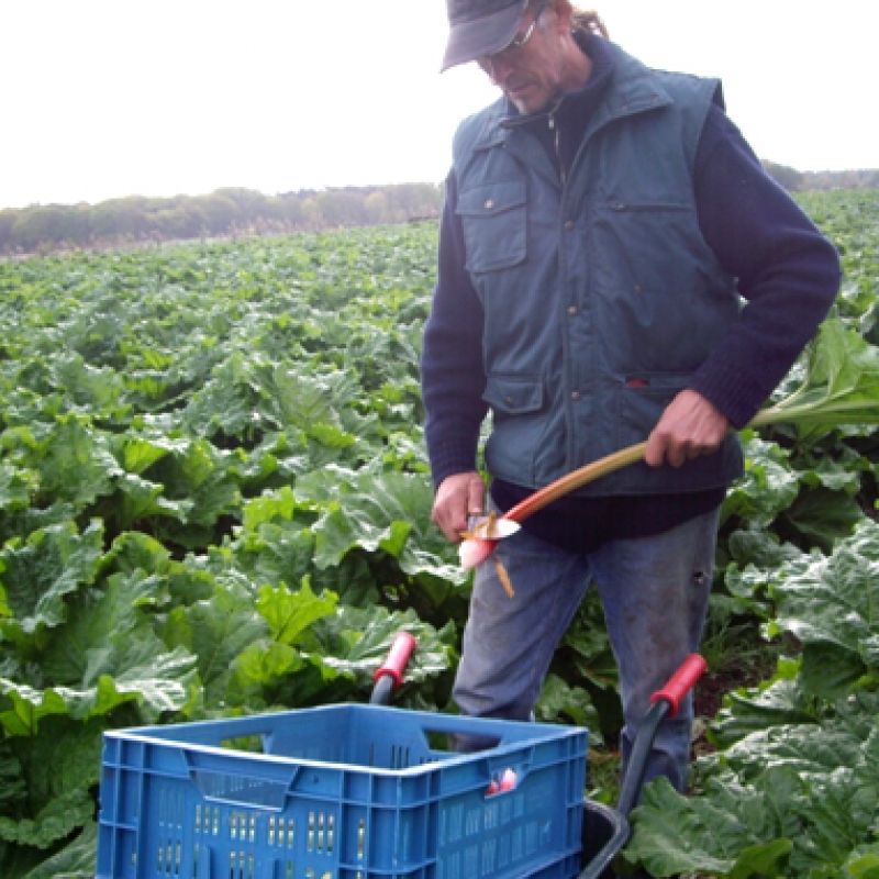 biodynamische bedrijf eikelenhof