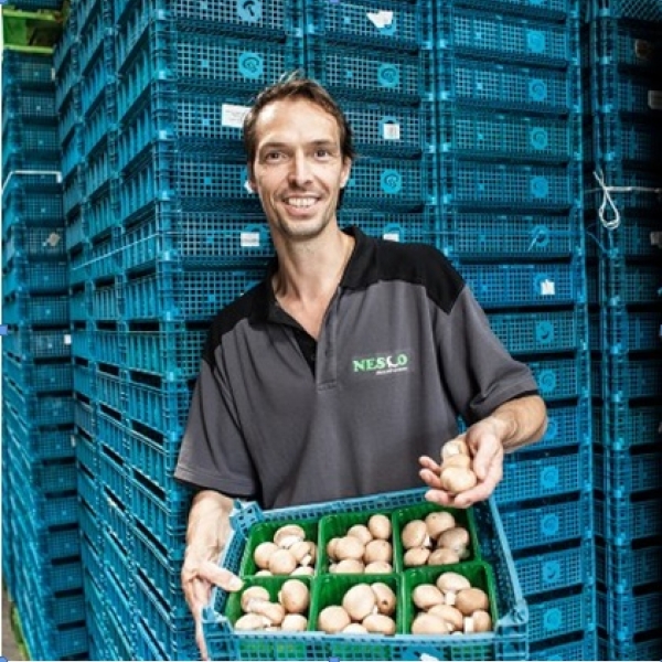 Brabantse champignons