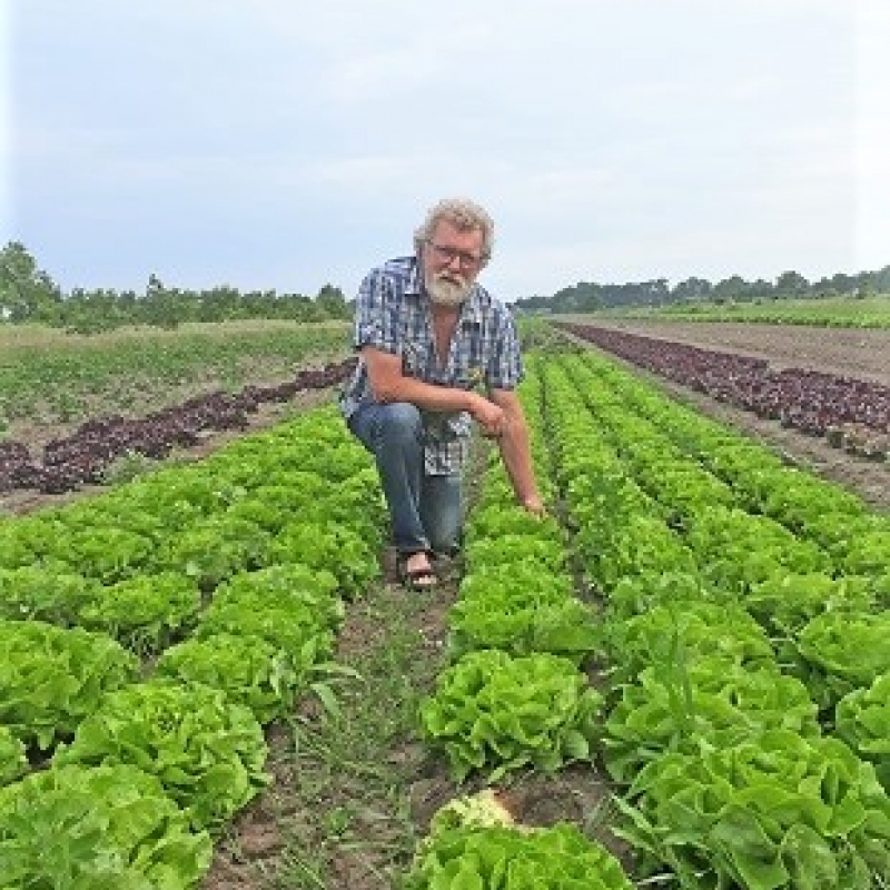 Zonnehorst