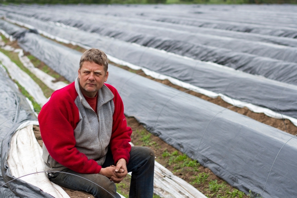 Biodynamische witte asperges van De Watertuin