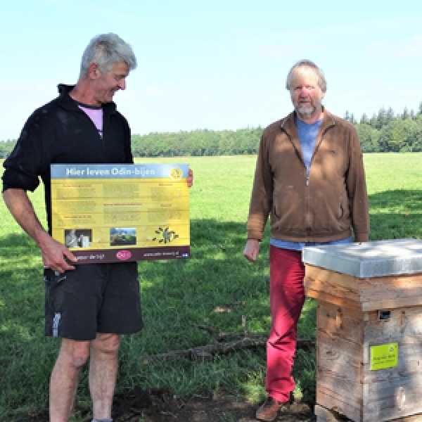 Odin bijenvolken bij distributiecentrum Marum en Hoeve Sonneclaer