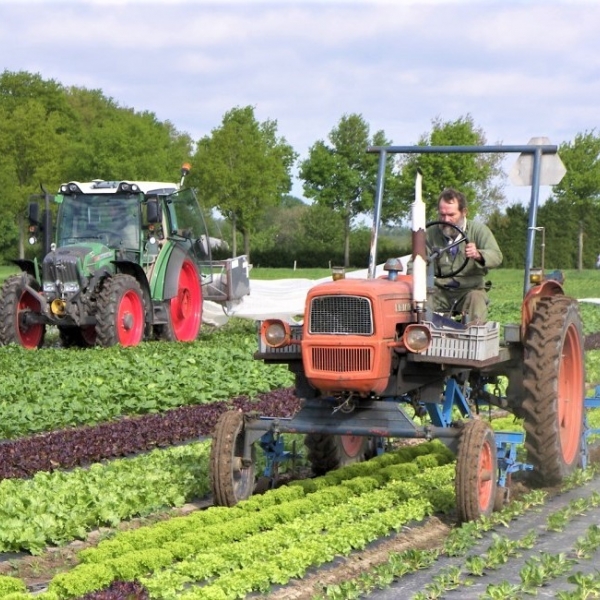 Tuinbouwbedrijf De Waog loopt graag voorop