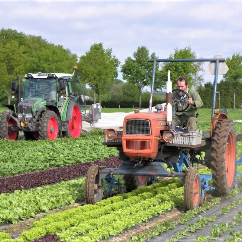 Tuinbouwbedrijf De Waog loopt graag voorop