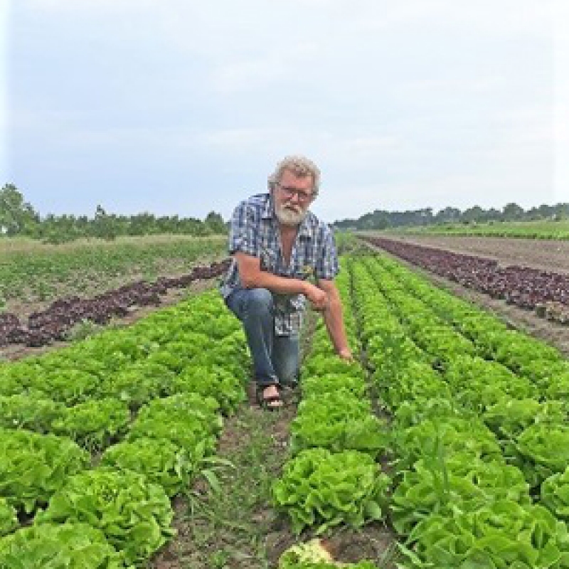 Droogte telers Odin