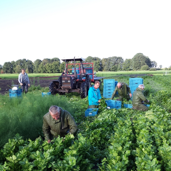 Teler en boerderij Bijzonderland