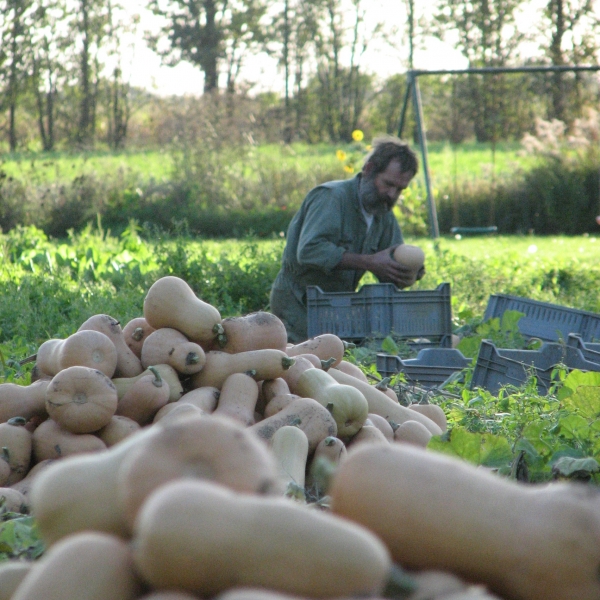 Flespompoenen van tuinderij de Waog