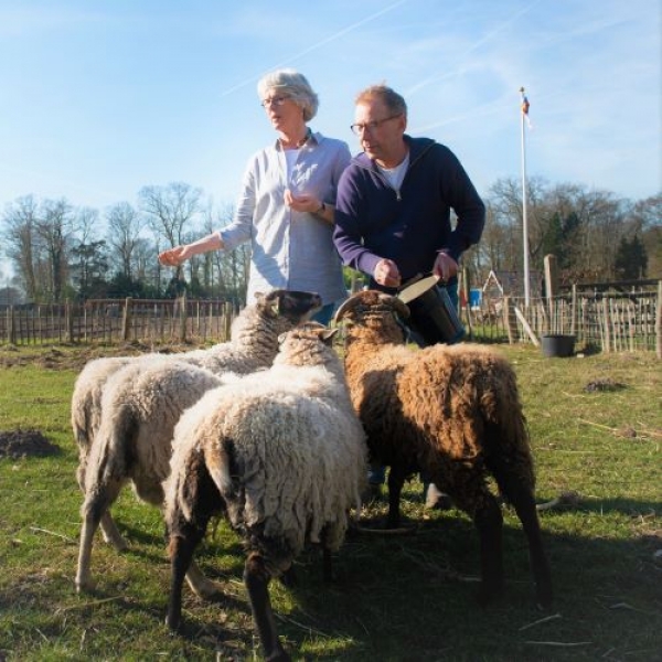 Bij biodynamische tuinderij Land en Boschzigt