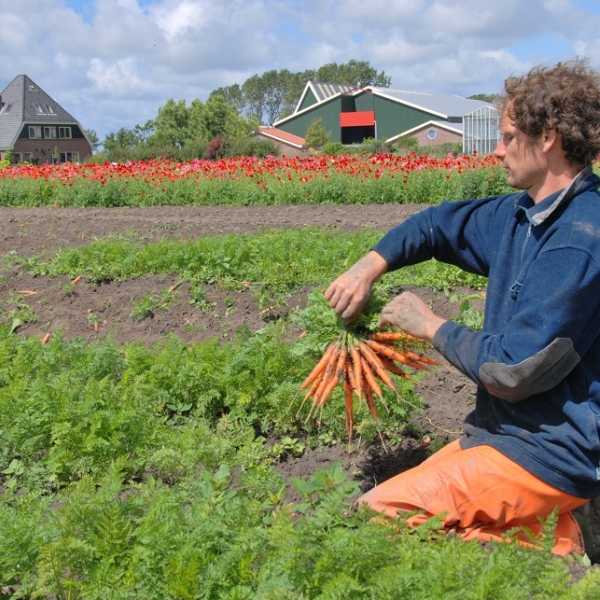 Wat maakt biologische voeding duurder? 