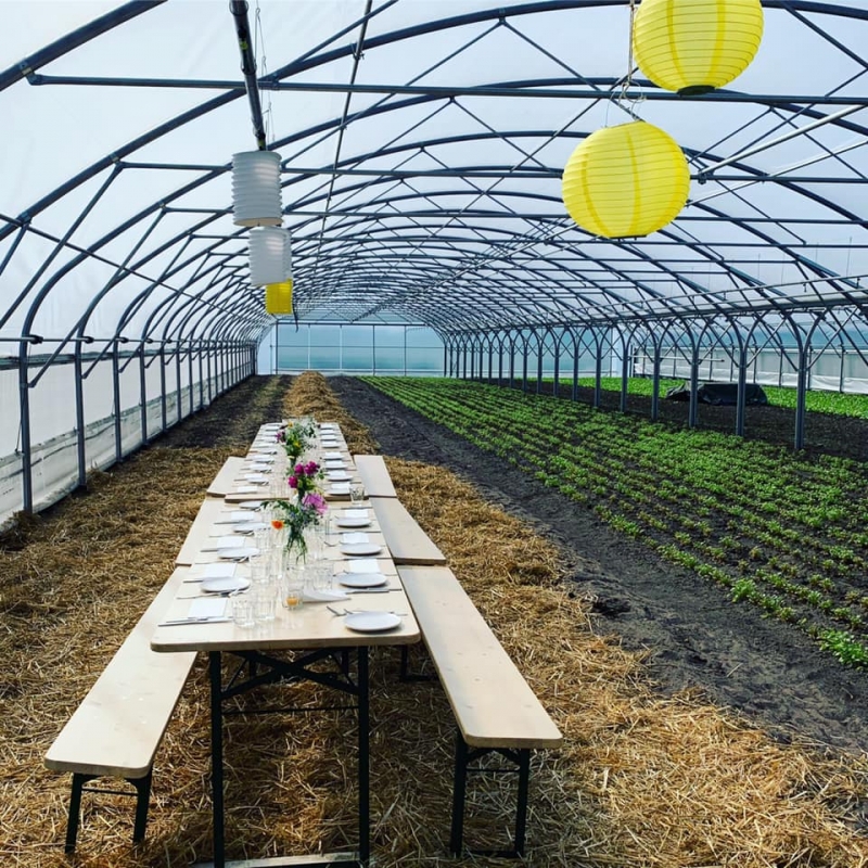 filosofisch tafelen beersche hoeve