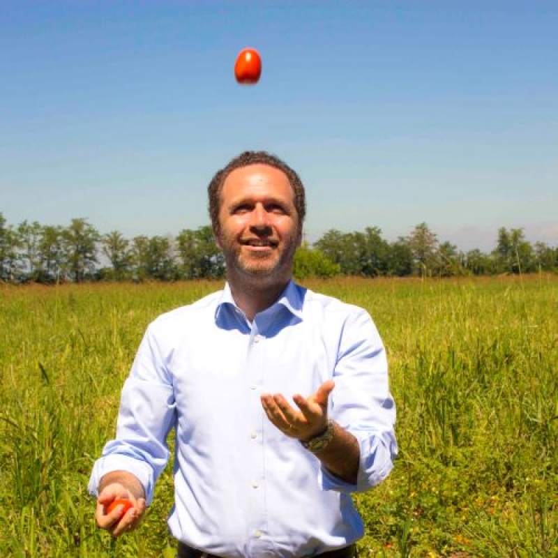 De biodynamische tomaten voor Odin huismerk De Nieuwe band worden onder goede omstandigheden gepluk - terre di sangiorgio - Keuringsdienst van Waarde