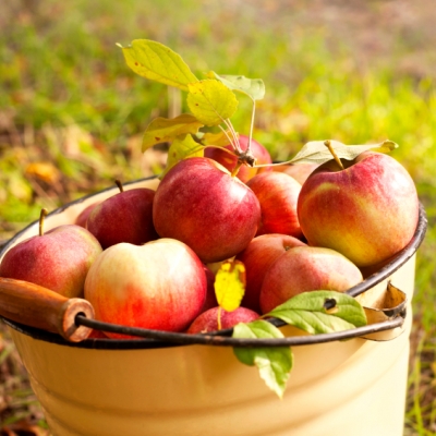 Gegratineerde appelschijfjes