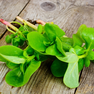 Herfstsalade met winterpostelein