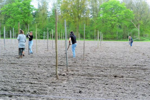 Meehelpen op de Odin boerderij