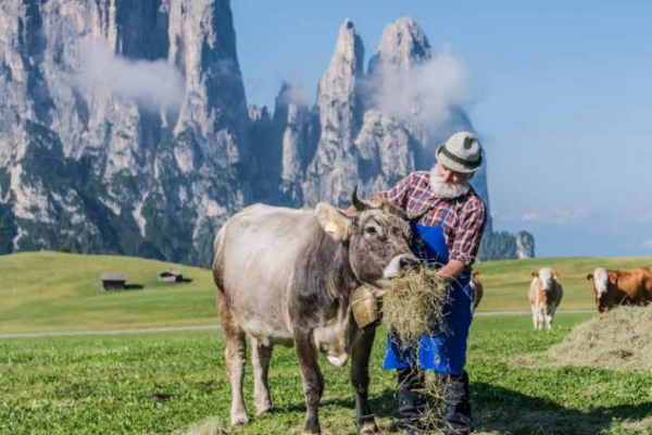 Kaas uit Zuid-Tirol