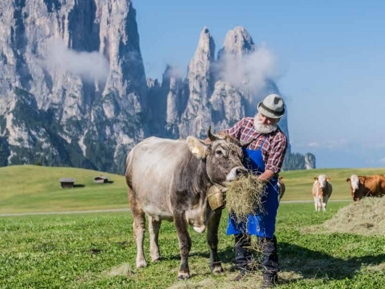 Kaas uit Zuid-Tirol