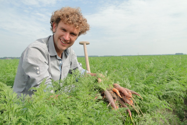 Biodynamische waspeen uit de Noordoostpolder