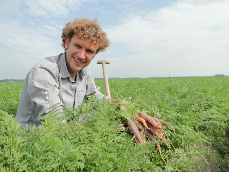 Biodynamische waspeen uit de Noordoostpolder