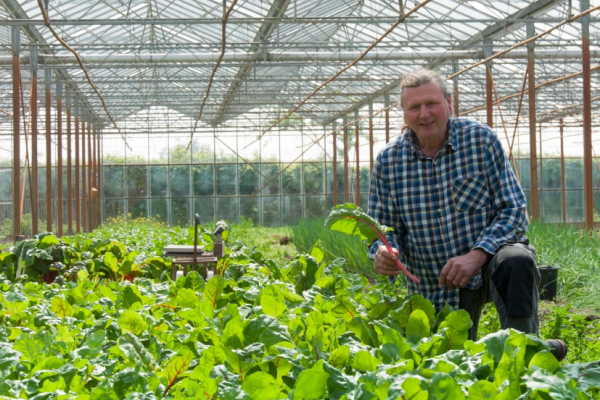 Vegan biodynamische landbouw