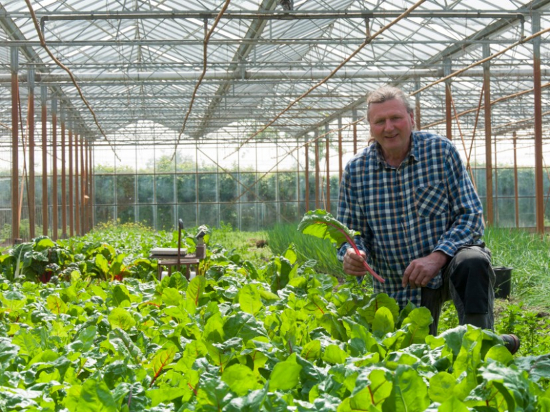 Vegan biodynamische landbouw